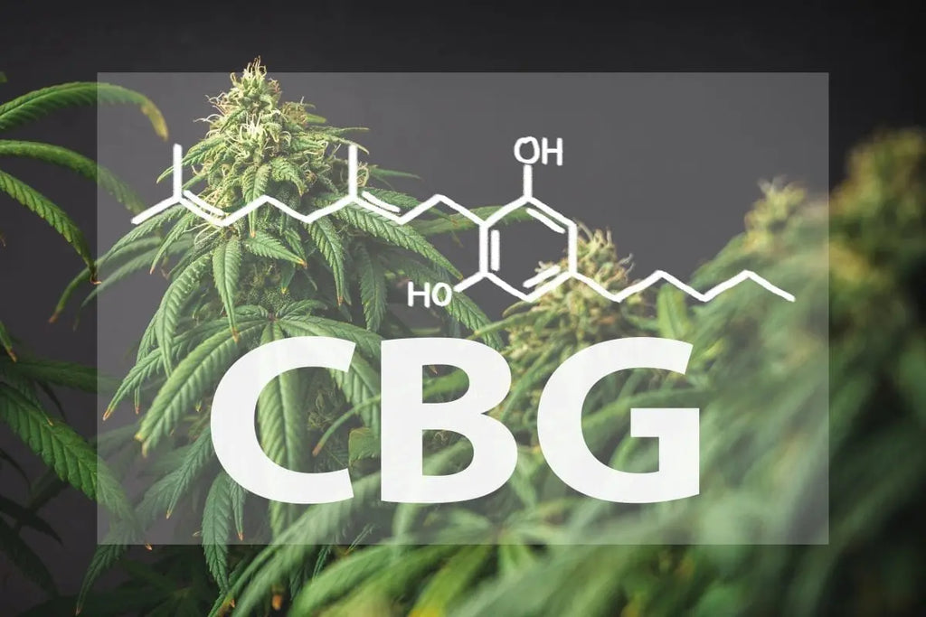 CBG: The "Mother of Cannabinoids"