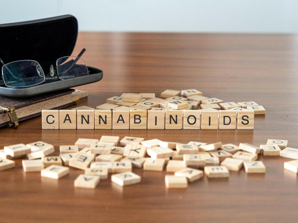What Are Cannabinoids? How Do They Work?